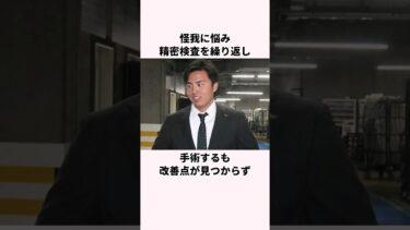 「スマイル投法」の田中正義に関する雑学 #野球 #野球解説 #日本ハム