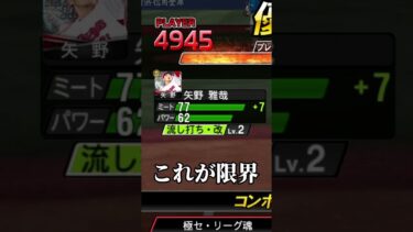 矢野選手でホームラン打てるか検証します